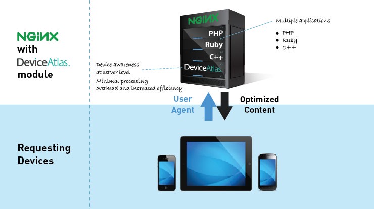 NGINX diagram